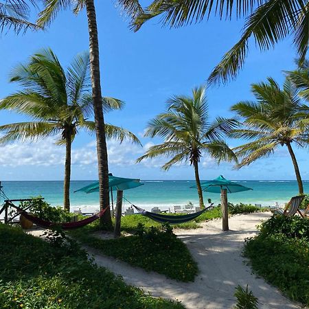 Asha Boutique Hotel Diani Beach Exterior photo