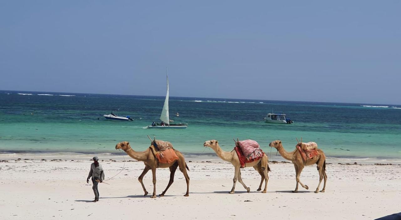 Asha Boutique Hotel Diani Beach Exterior photo