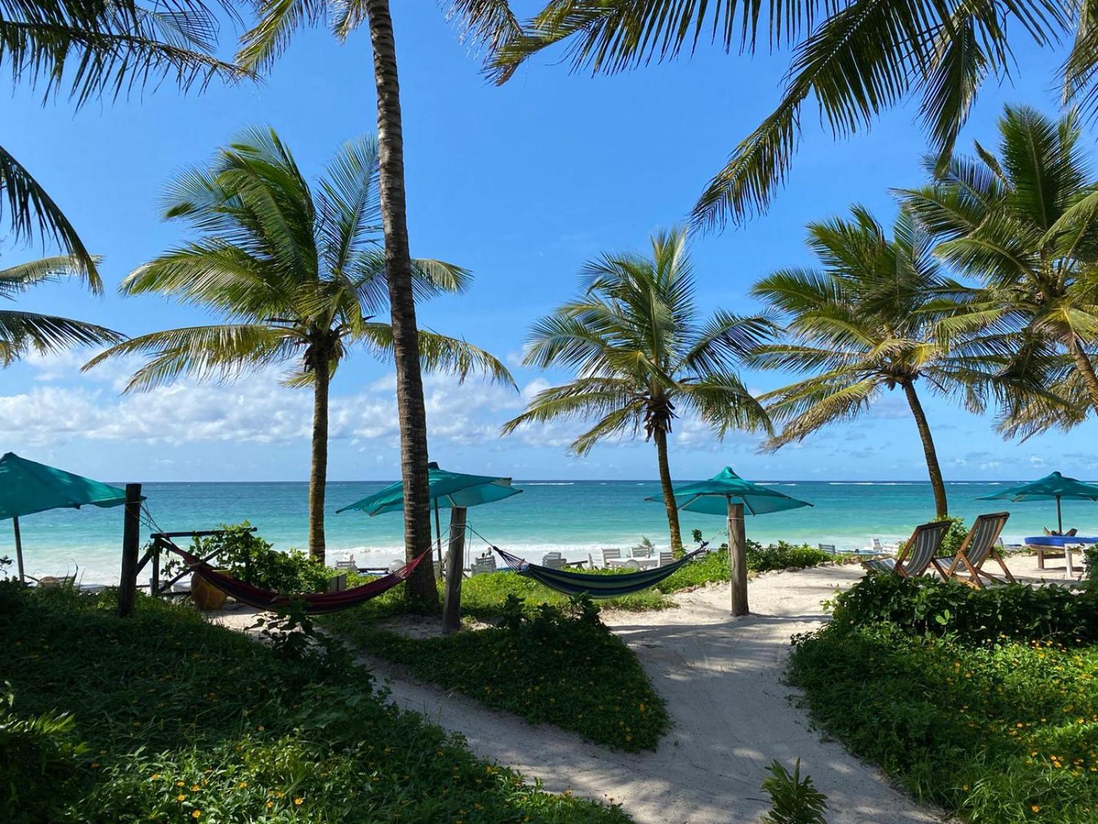 Asha Boutique Hotel Diani Beach Exterior photo